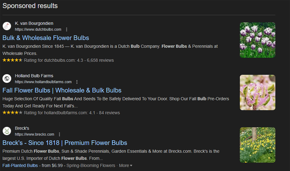 Pay-Per-Click Advertising Basics